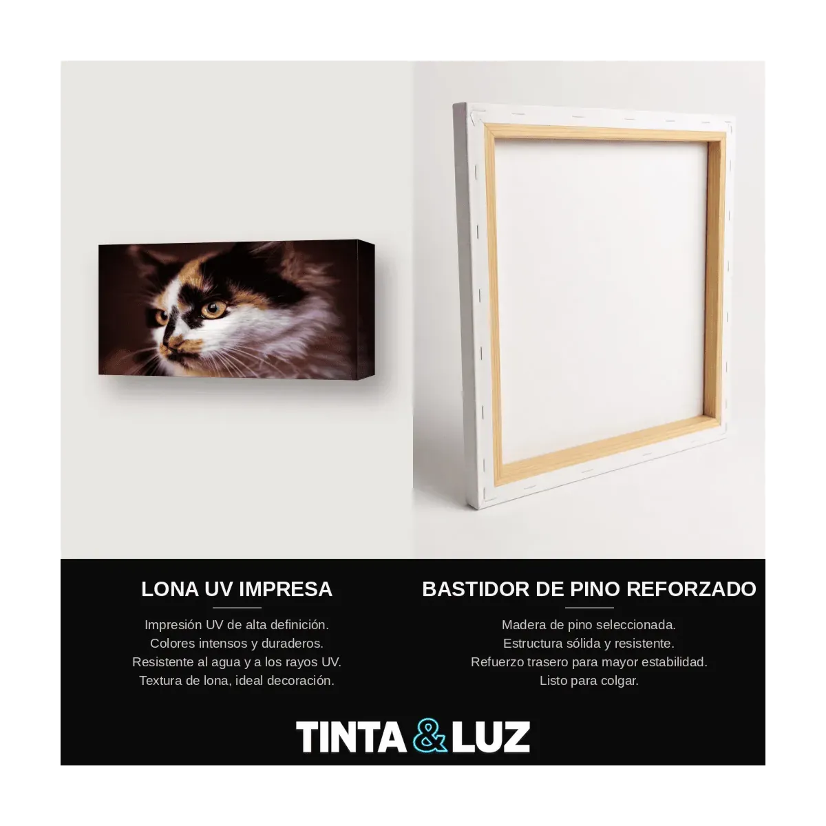 GATO Y RATÓN
