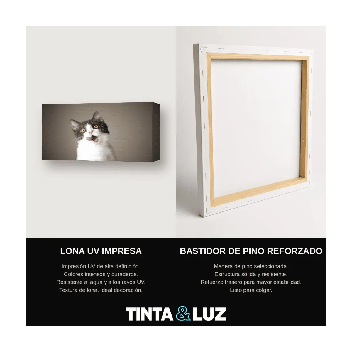 GATO BLANCO Y NEGRO VII