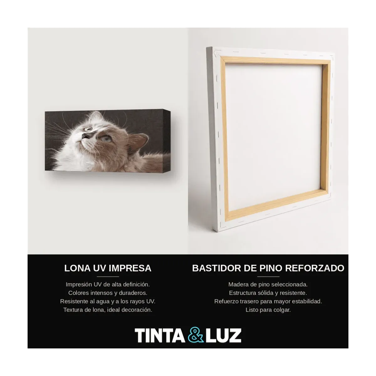 GATITO ATIGRADO II