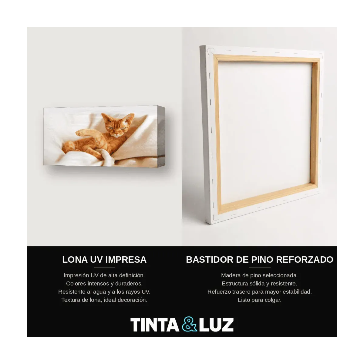 GATO GRIS Y BLANCO III