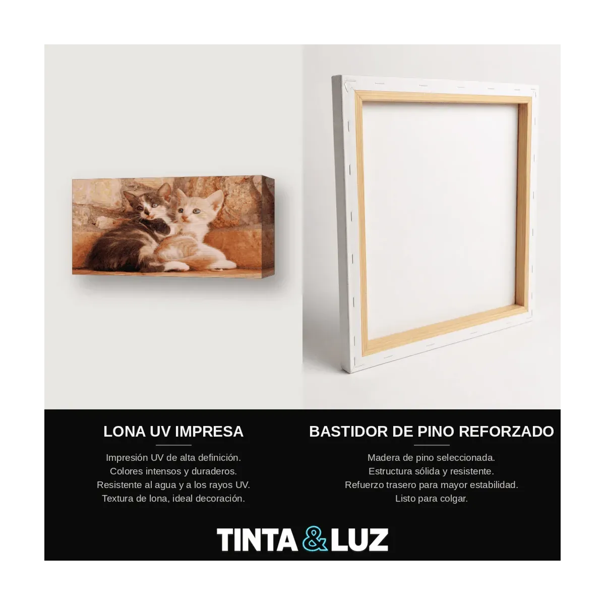 GATO PERSA BLANCO III