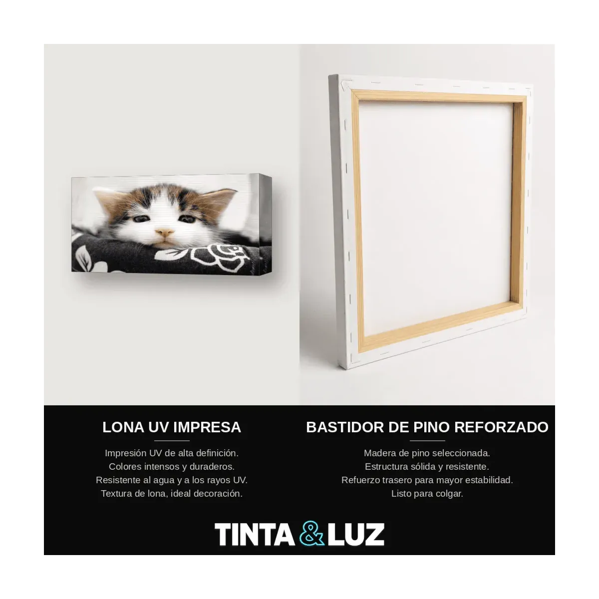 GATO Y MARIPOSA