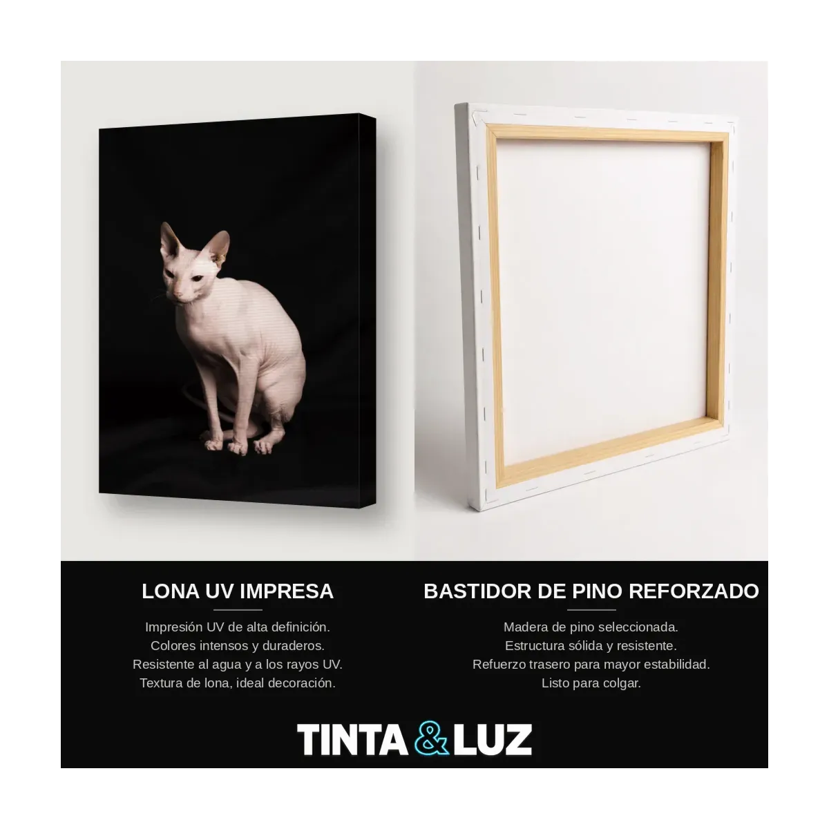 GATO ESFINGE II