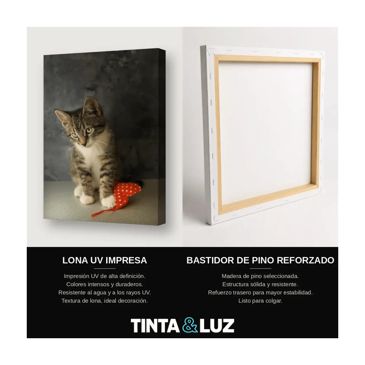 GATITO ATIGRADO II
