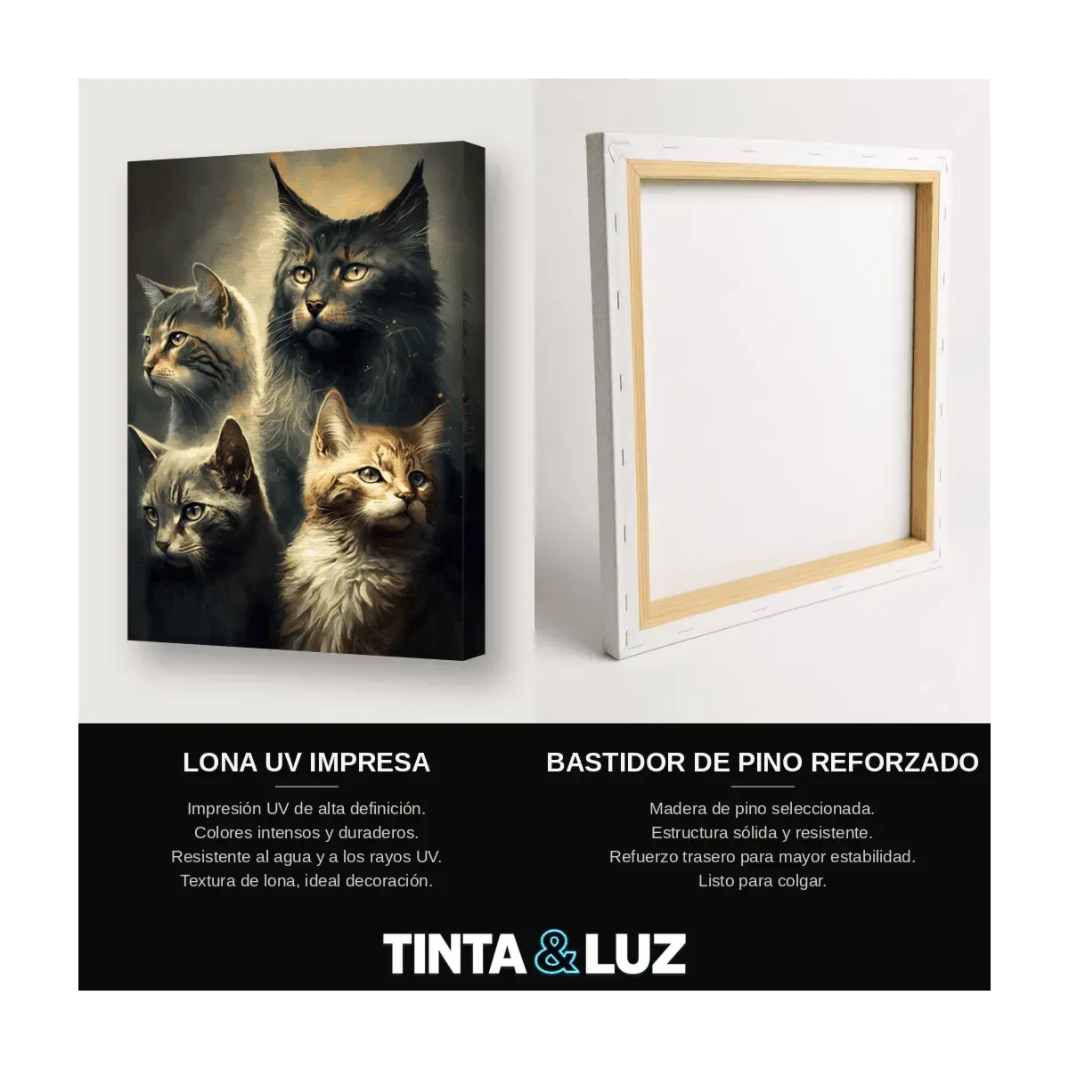 GATOS ENTRELAZADOS
