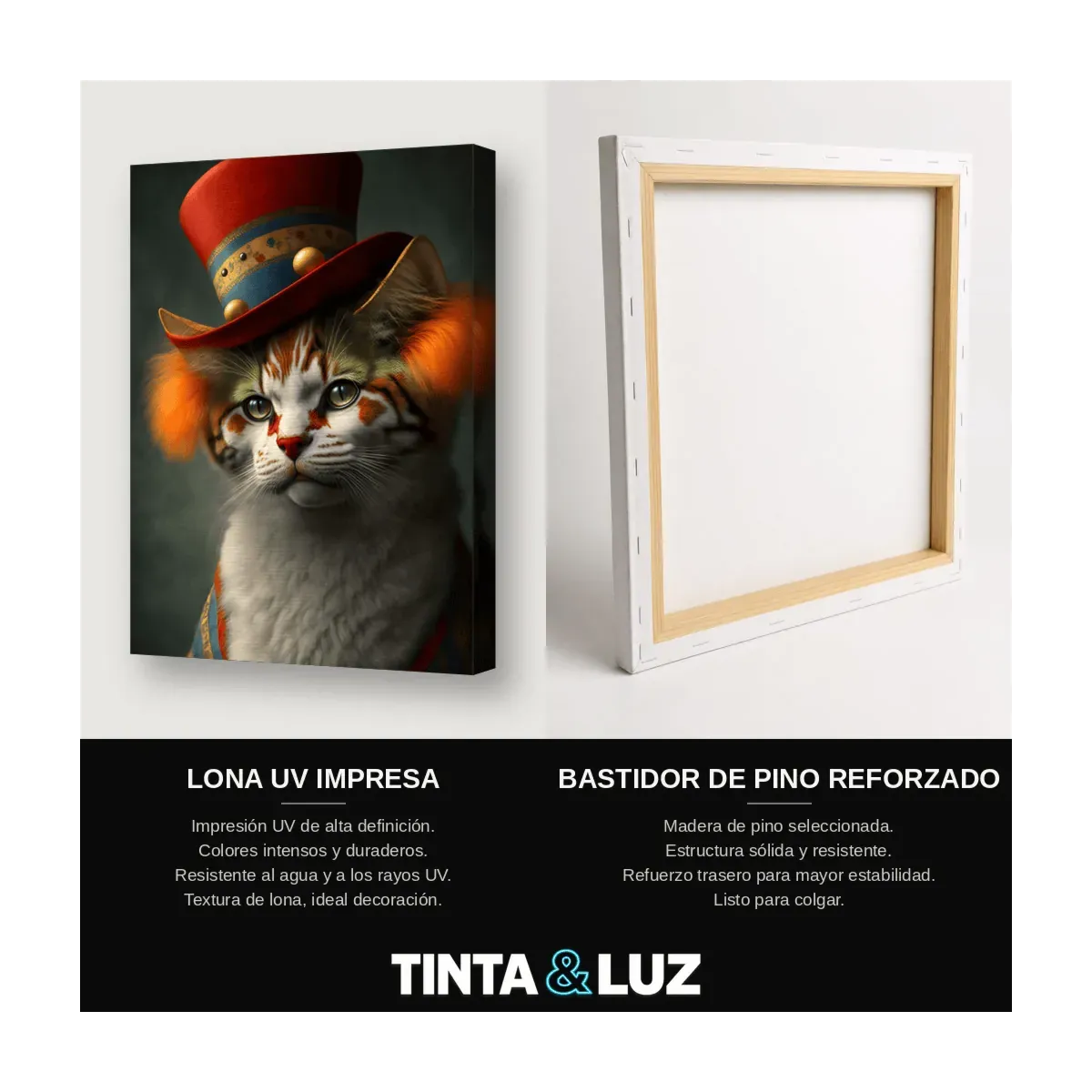 GATO ATIGRADO Y SOMBRERO