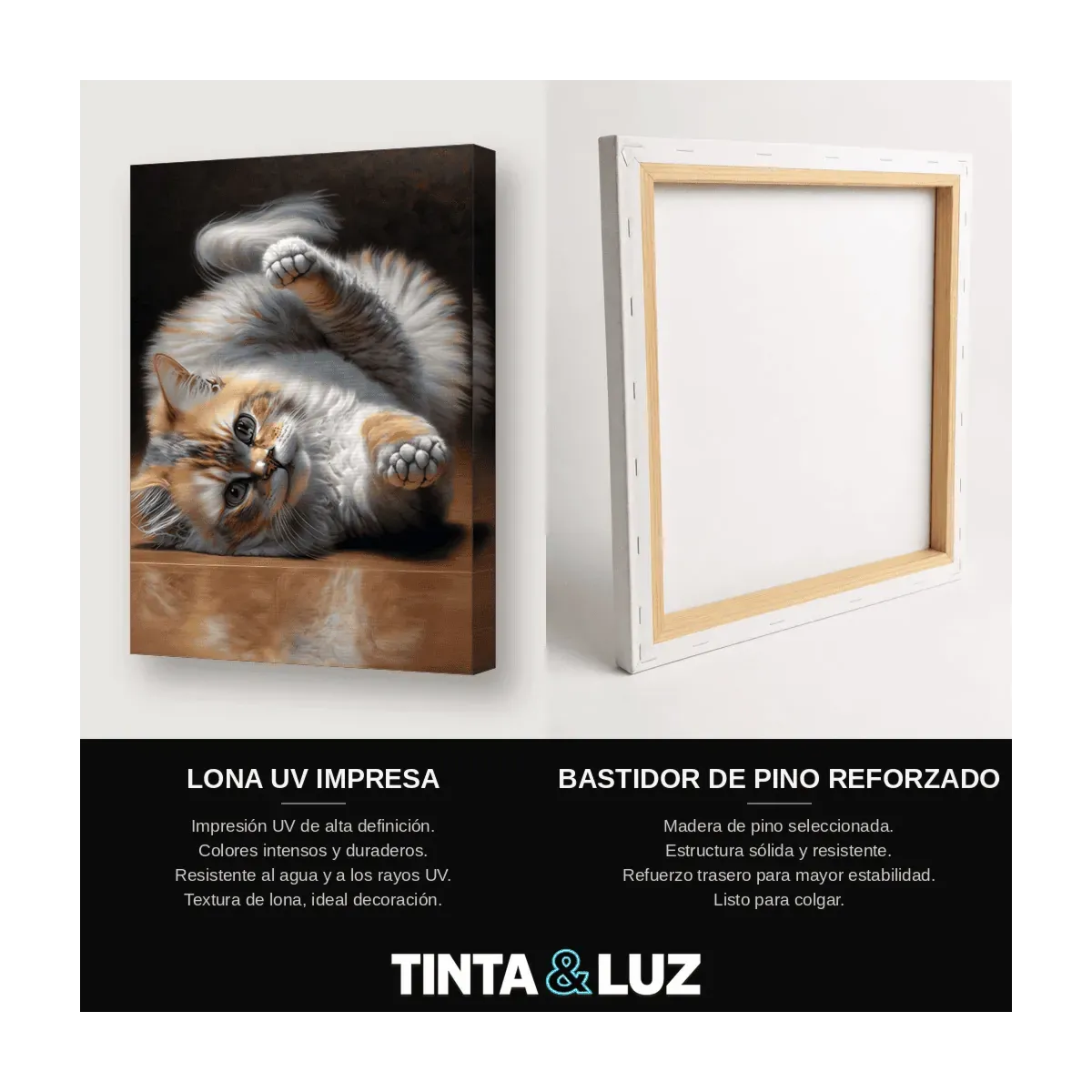 GATA Y CRÍAS