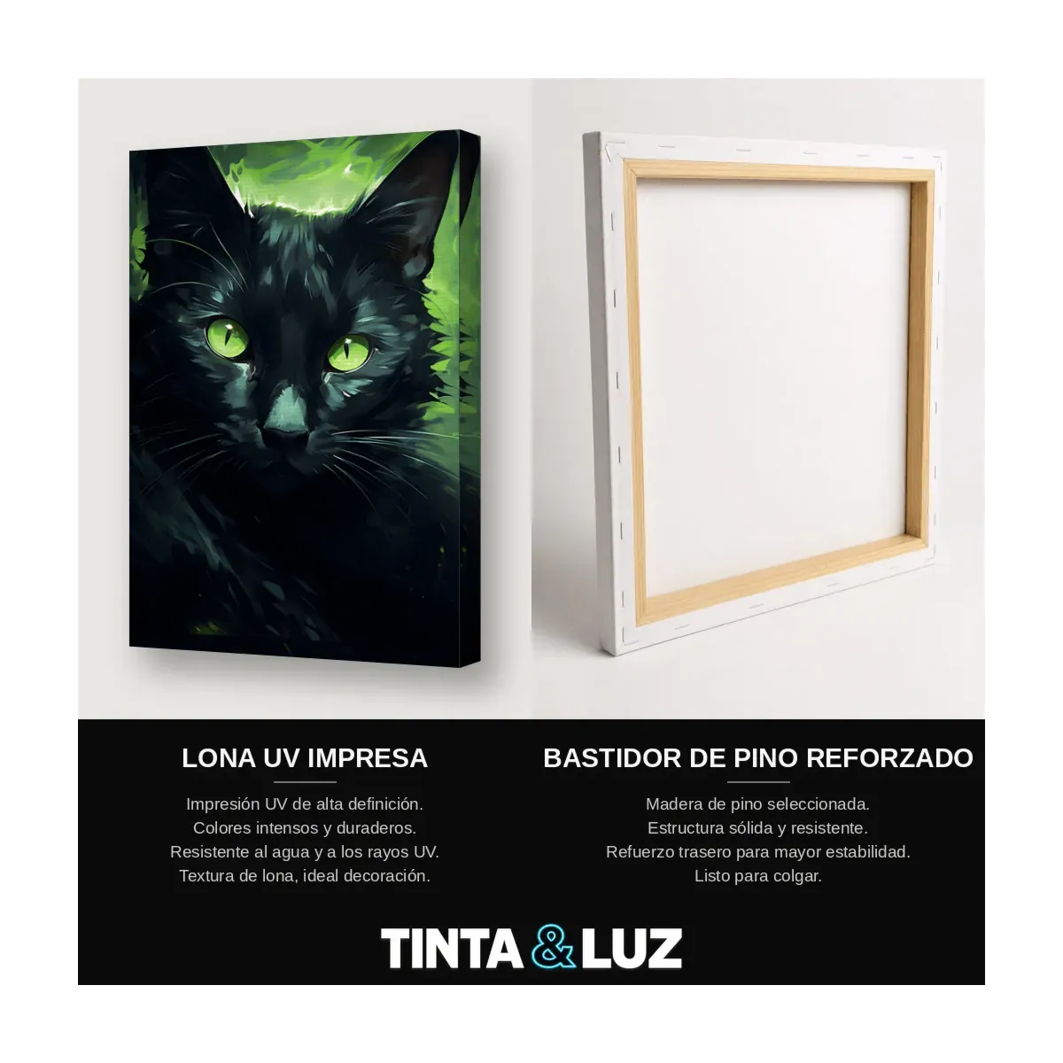GATO NEGRO OJOS VERDES