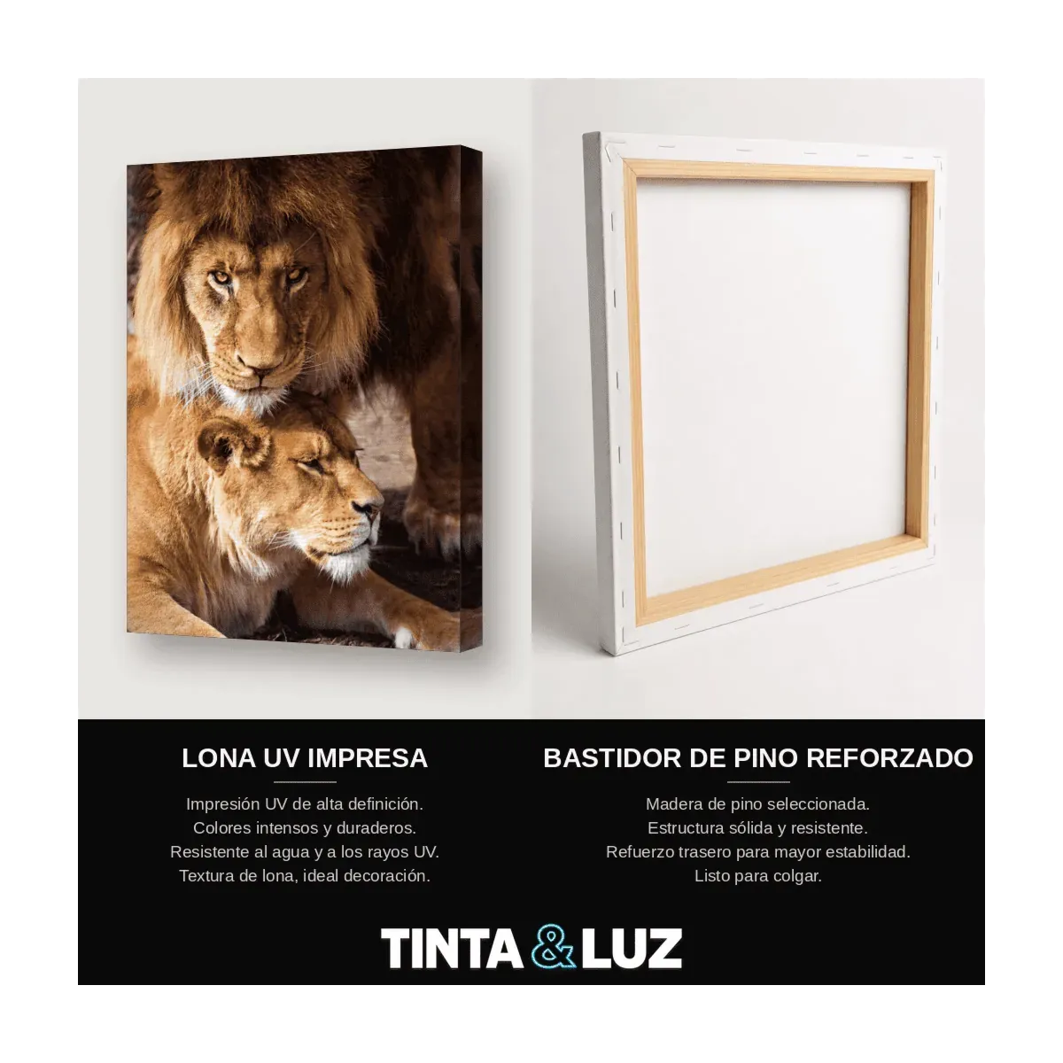 PAREJA DE LEONES