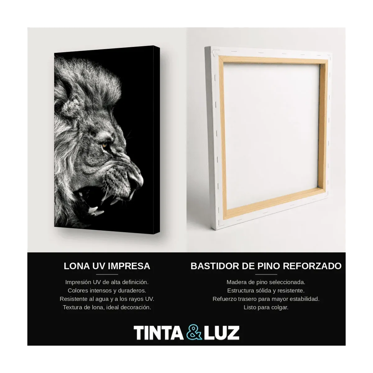 LEÓN B&N