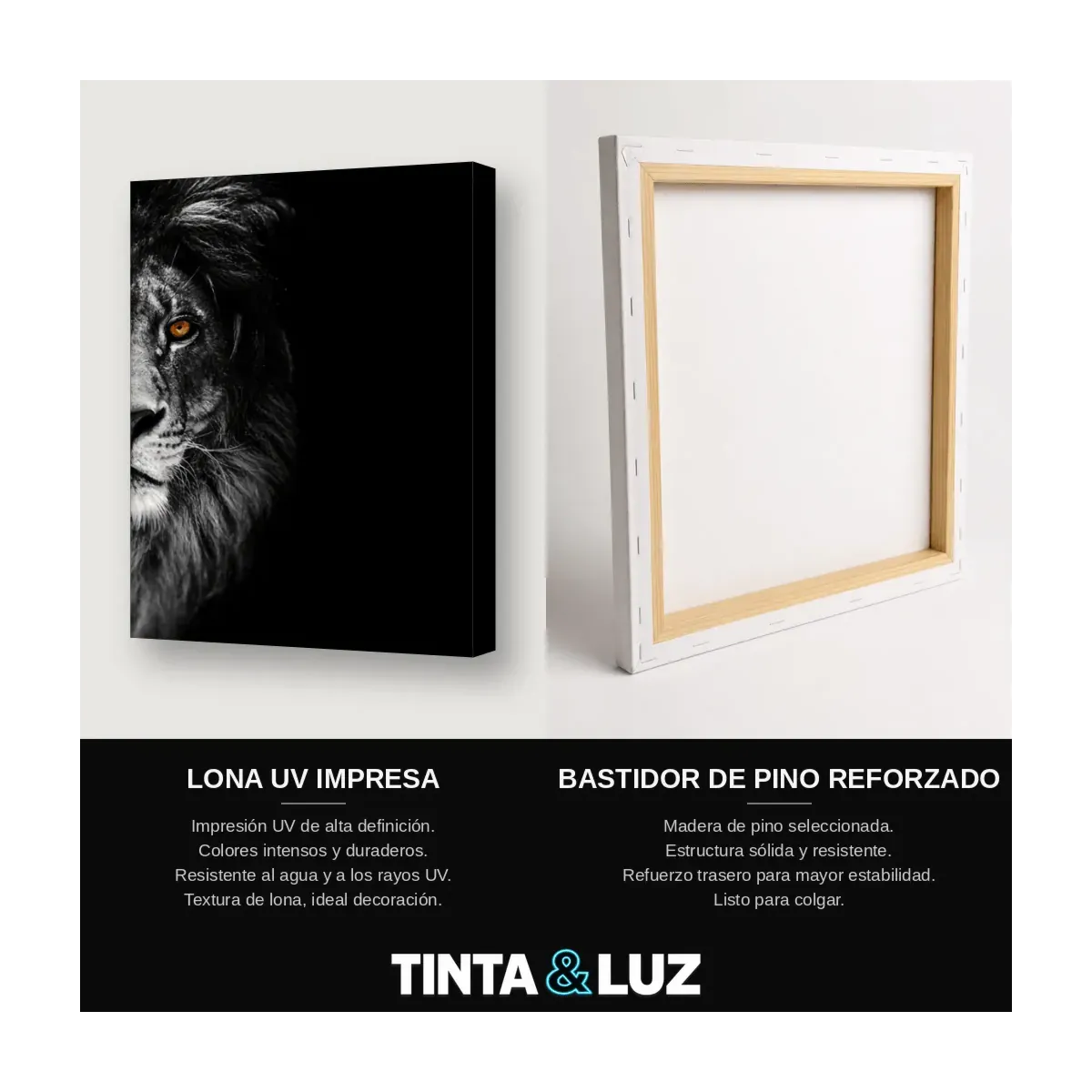 LEÓN OJOS ROJOS