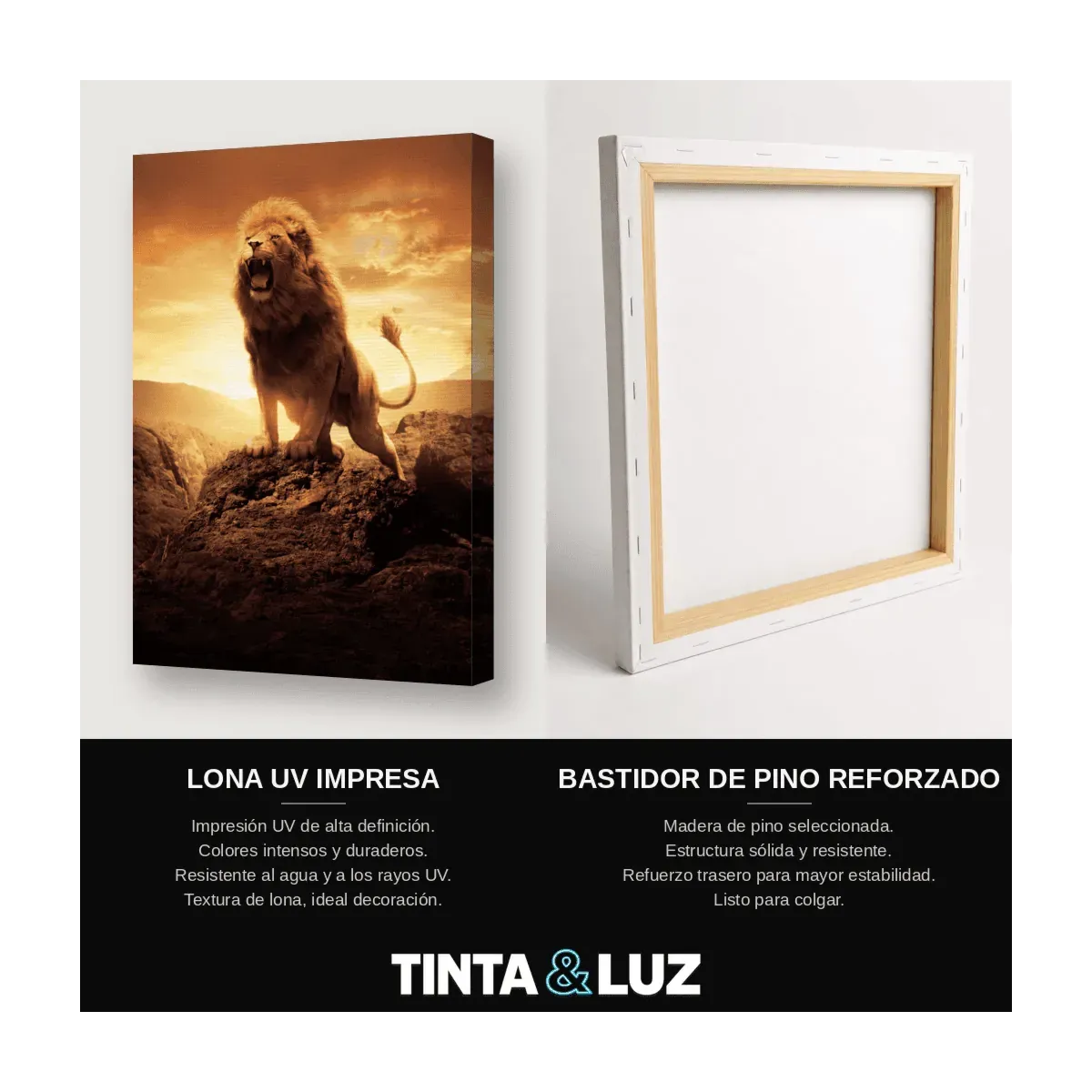 LEÓN AL ATARDECER