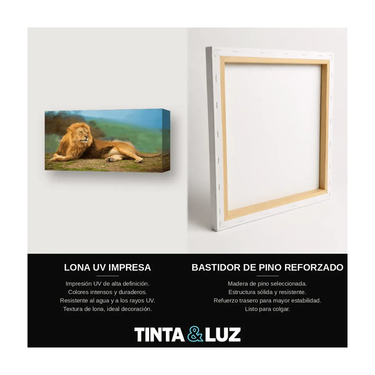 LEÓN EN LA ROCA II