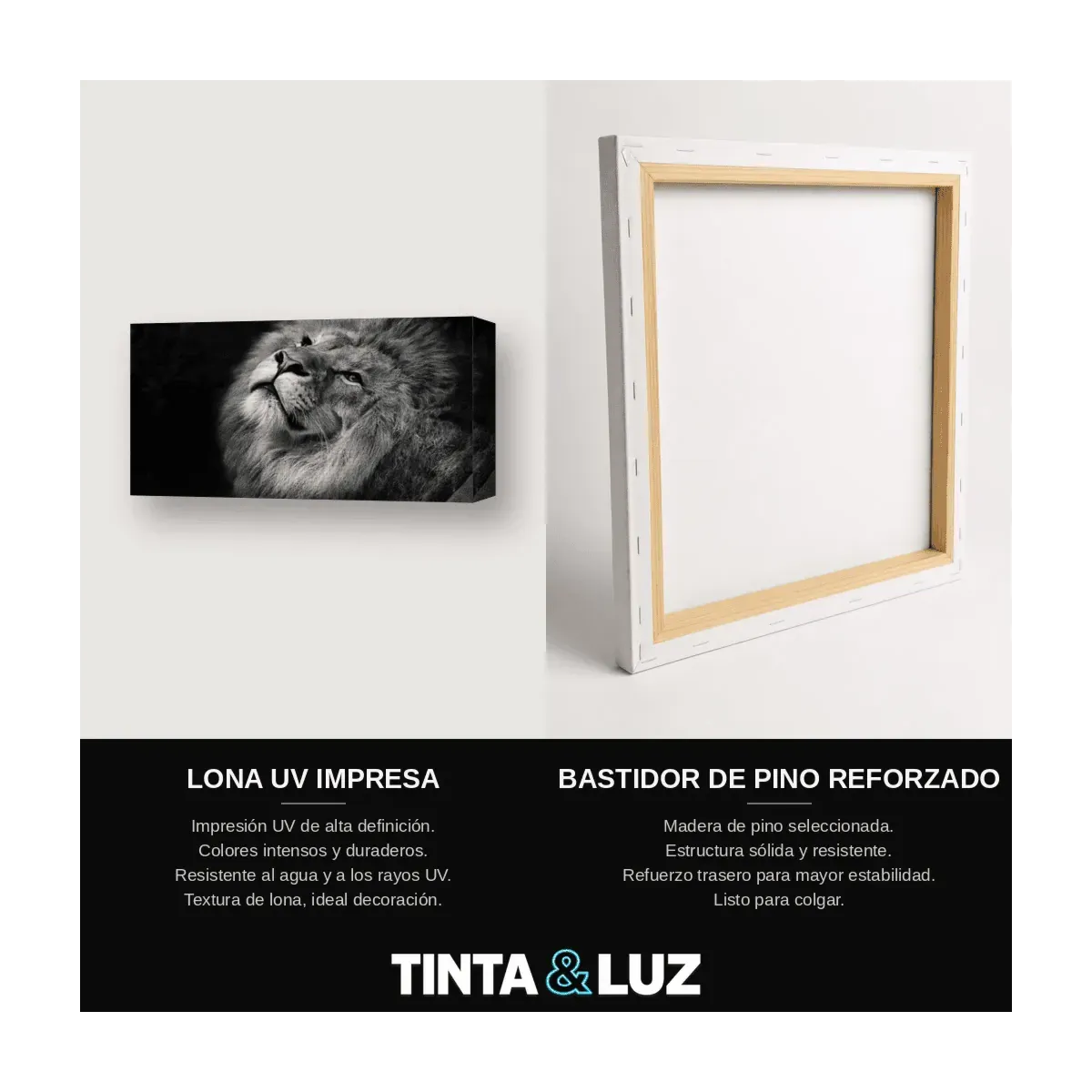 LEÓN B&N II