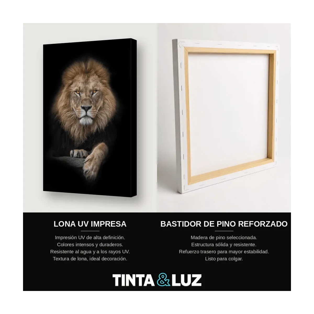 LEÓN MIRADA INTENSA