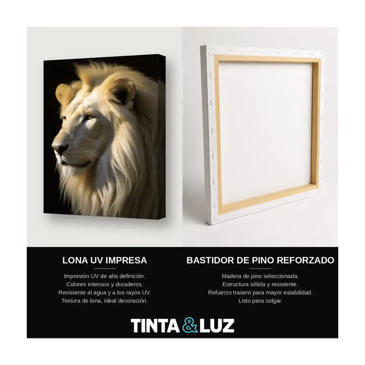LEÓN BLANCO PERFIL