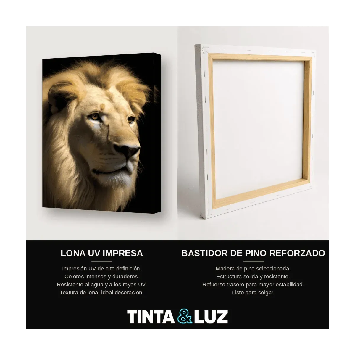 LEÓN BLANCO MAJESTUOSO