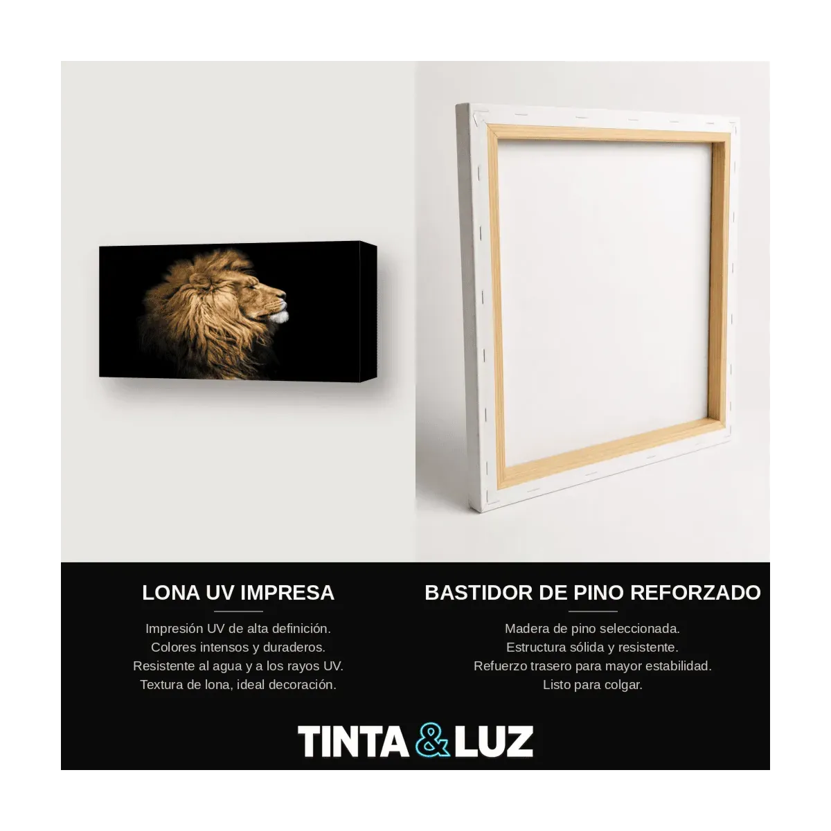 LEÓN PERFIL B&N