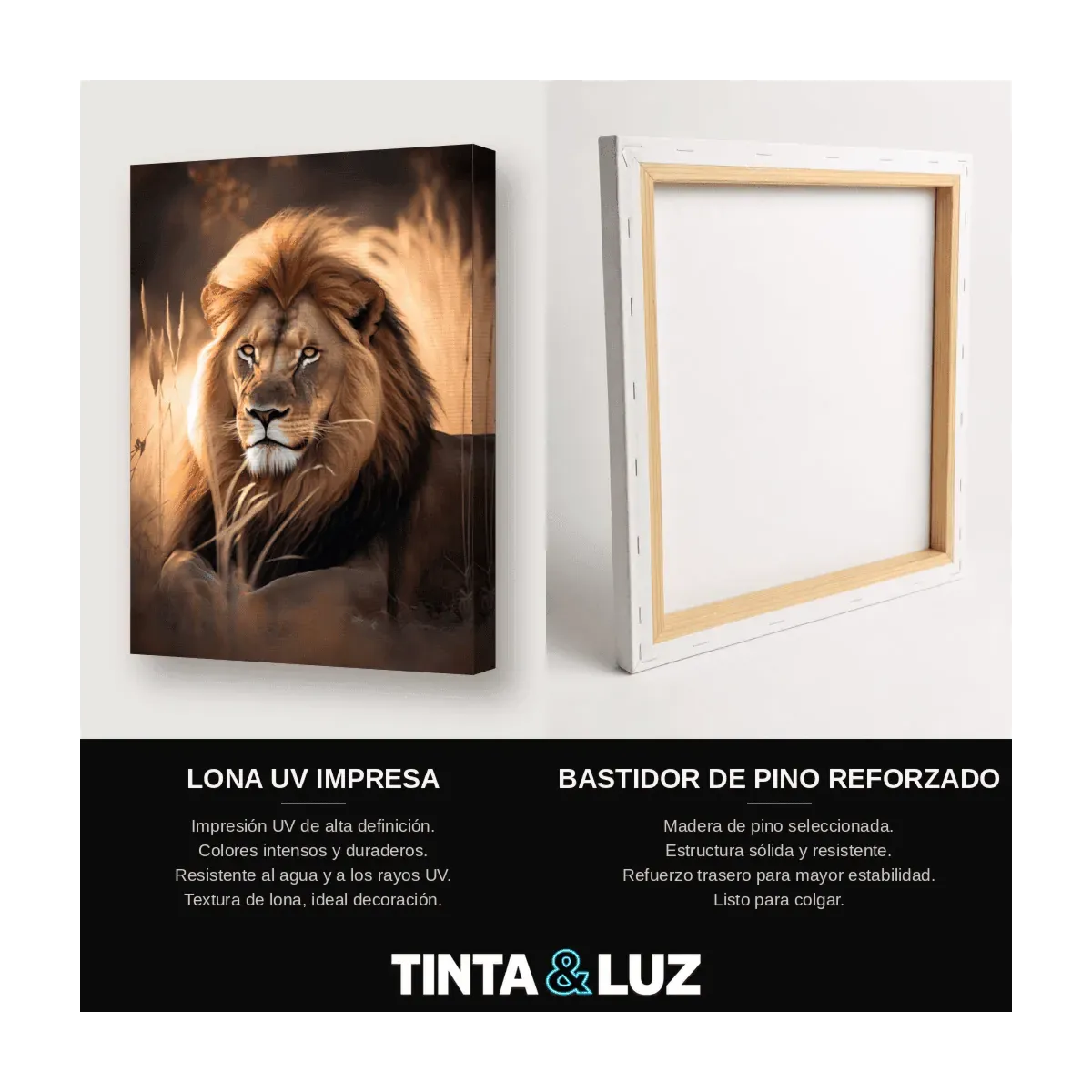 LEÓN DORADO ARTE