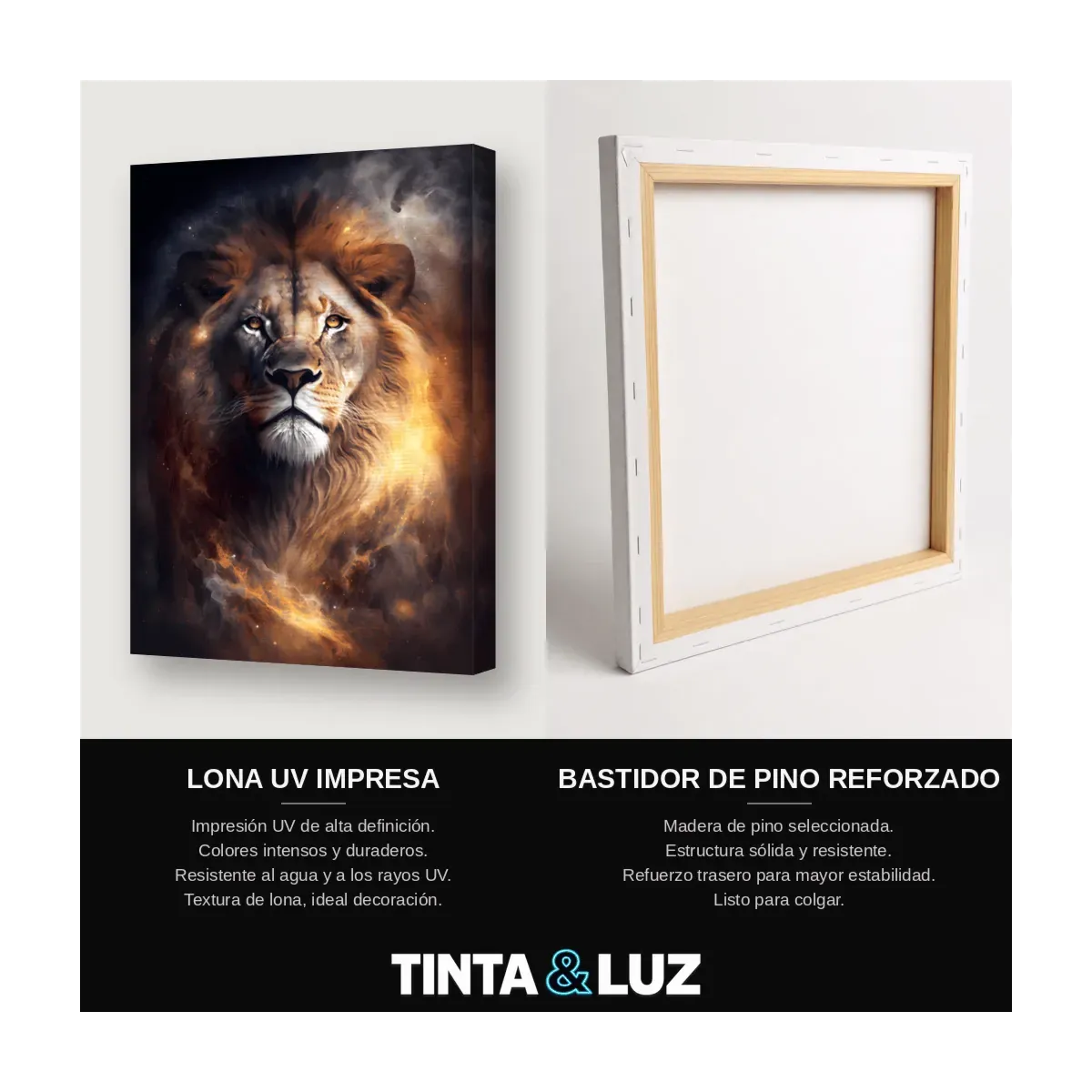 LEÓN ATARDECER ARTE