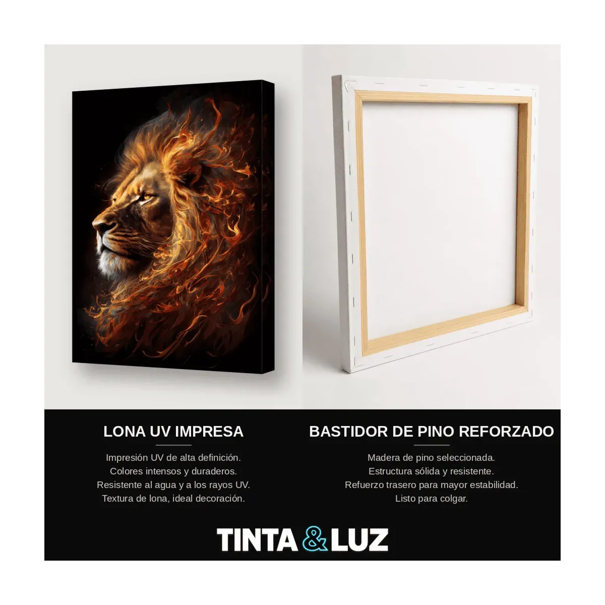 LEÓN DE FUEGO II