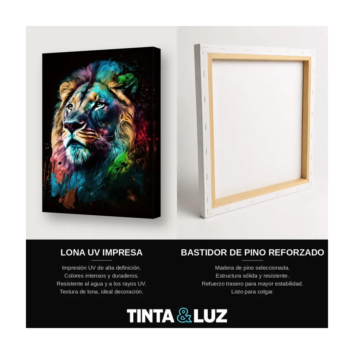 LEÓN MULTICOLOR