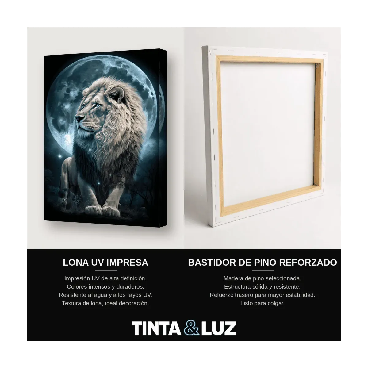 LEÓN Y LUNA
