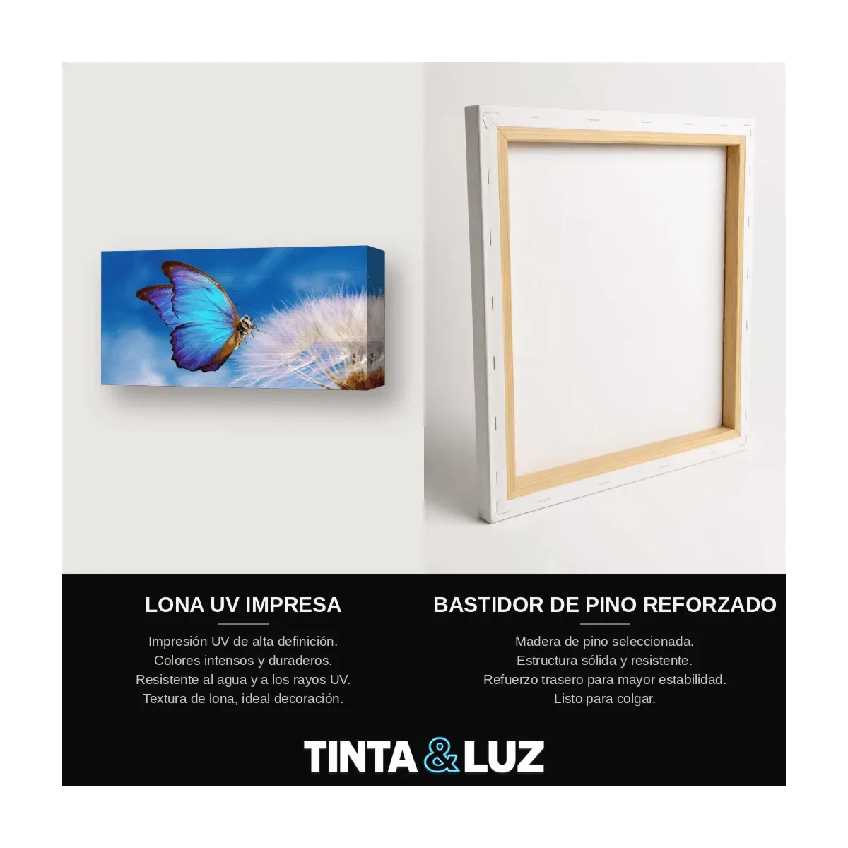 MARIPOSA AZUL
