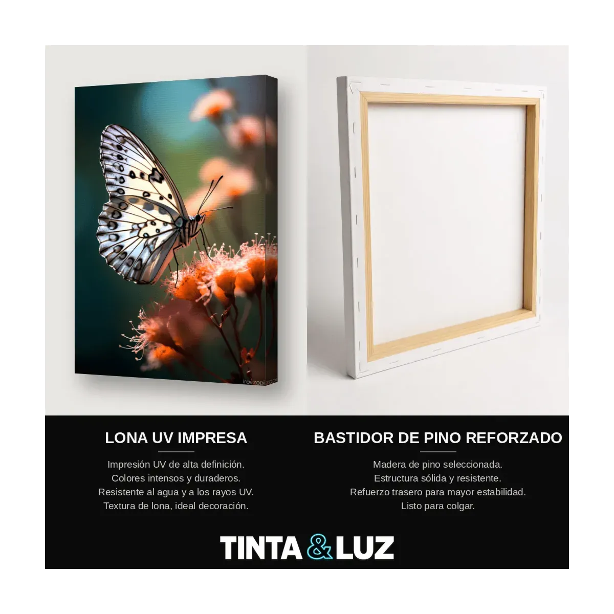 MARIPOSAS DE COLORES