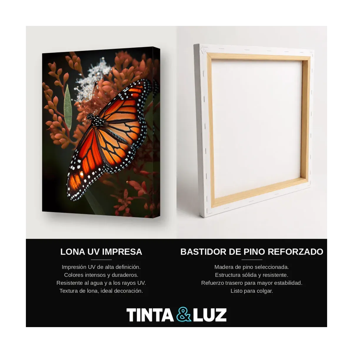 MARIPOSA MONARCA