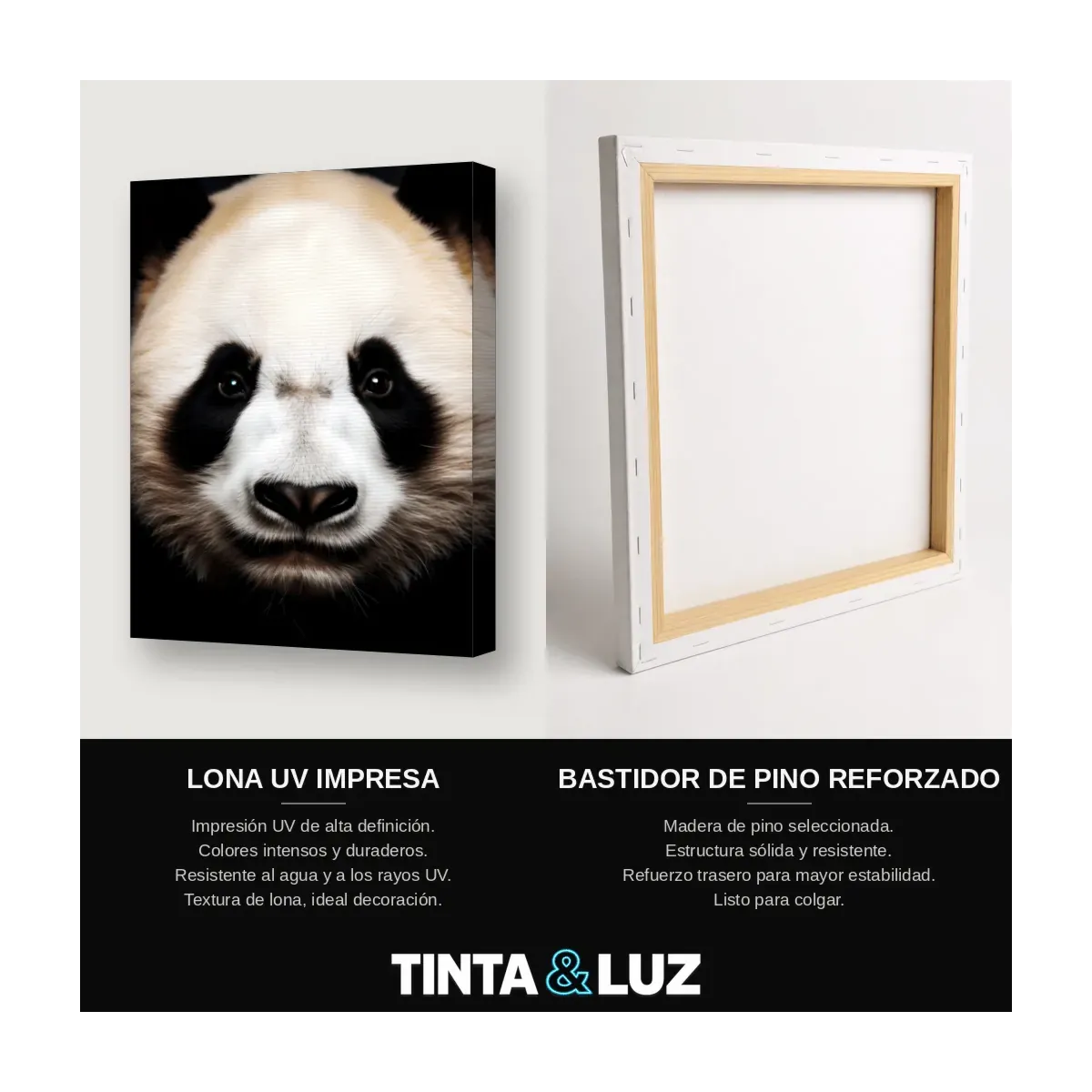 PANDA RETRATO