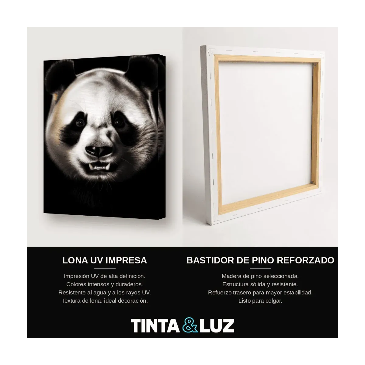 PANDA FRONTAL
