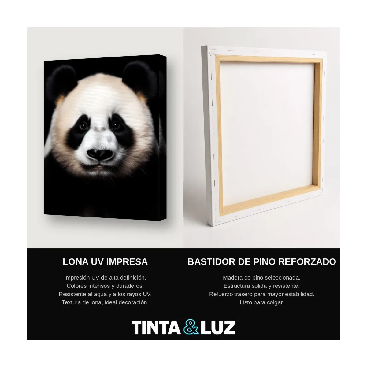 PANDA MAJESTUOSO