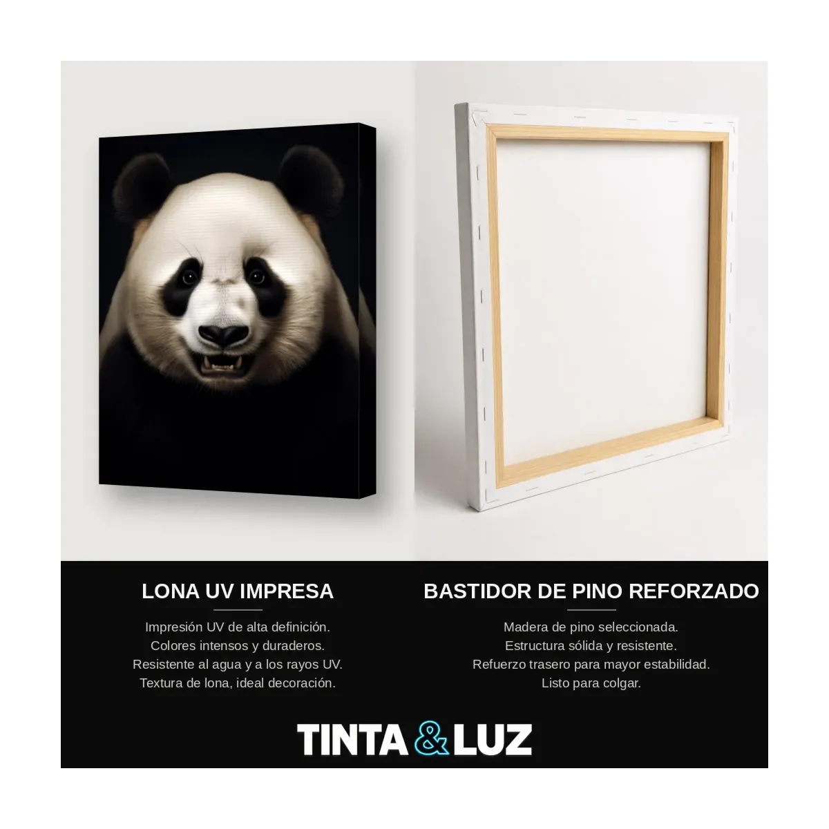 PANDA EN LA SOMBRA