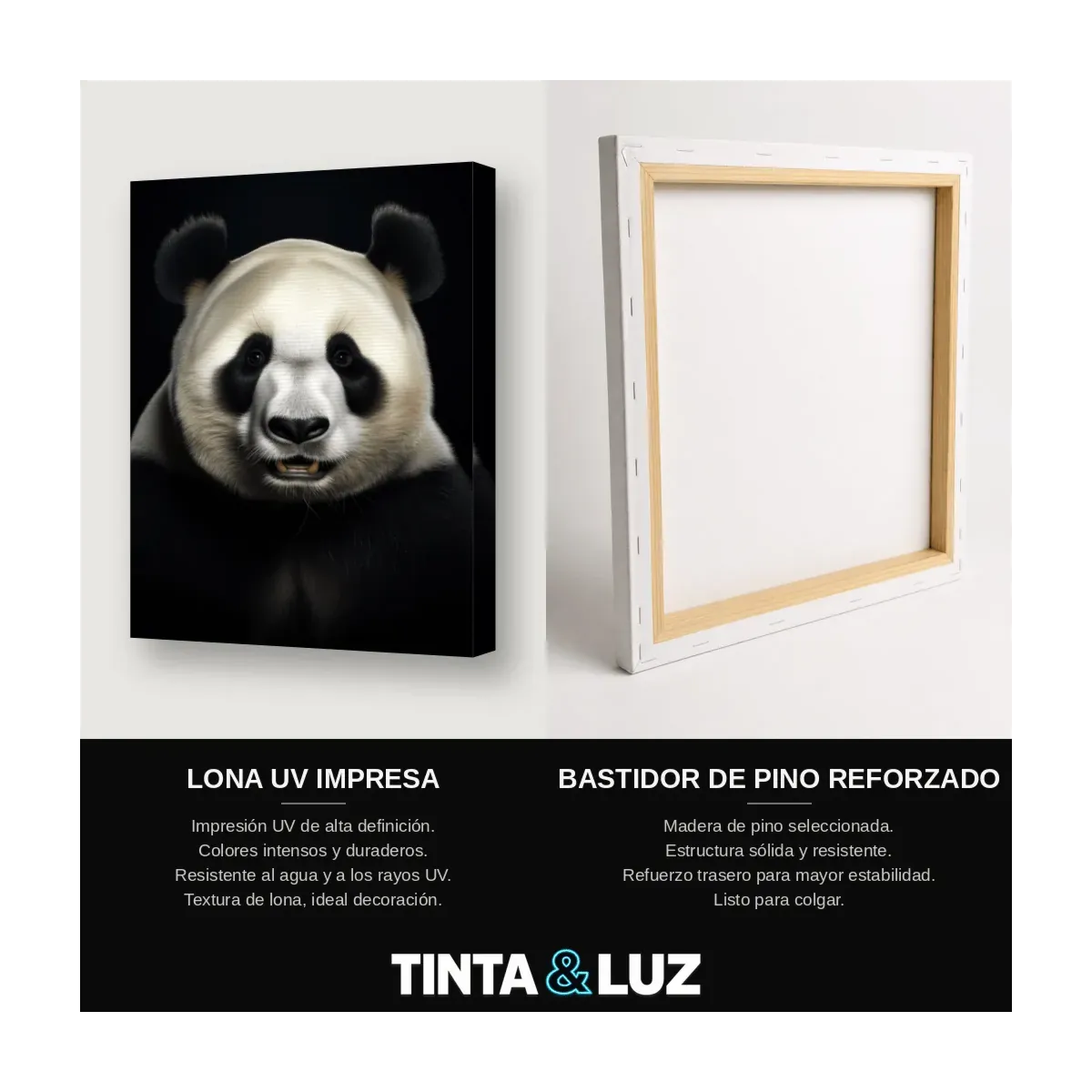 PANDA RETRATO II