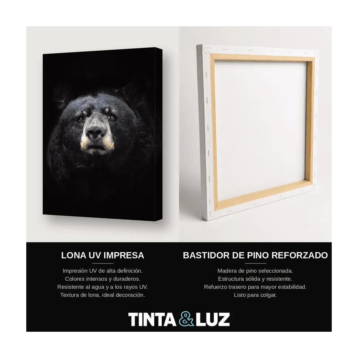 OSO NEGRO