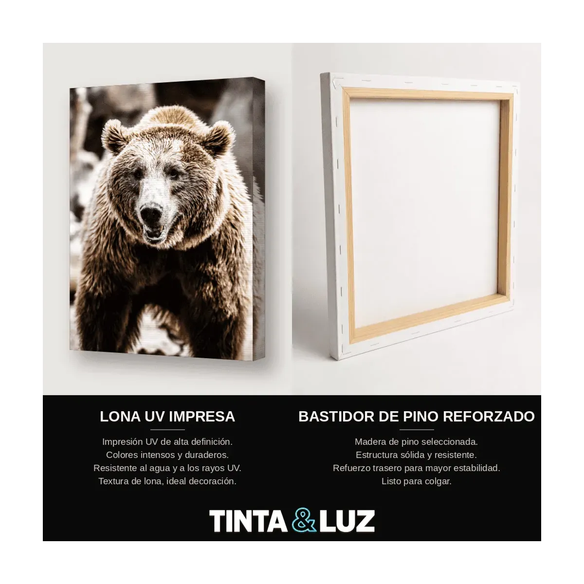 OSO GRIZZLY
