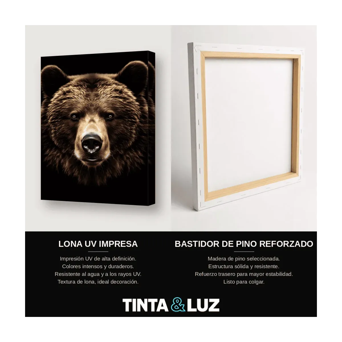 OSO GRIZZLY RETRATO