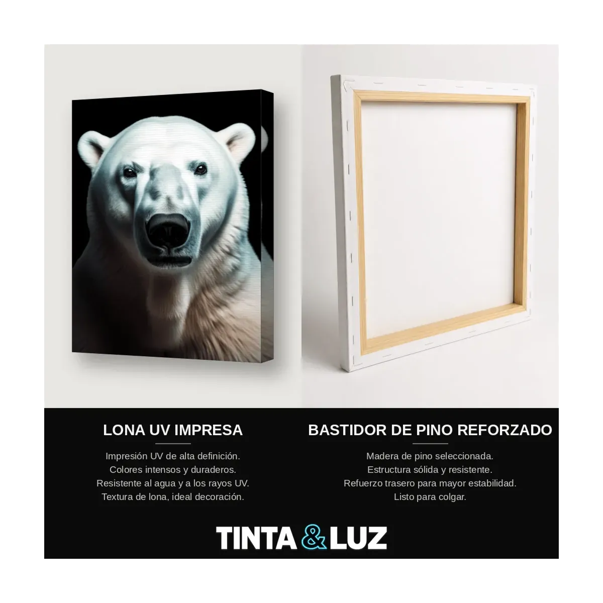 OSO POLAR RETRATO
