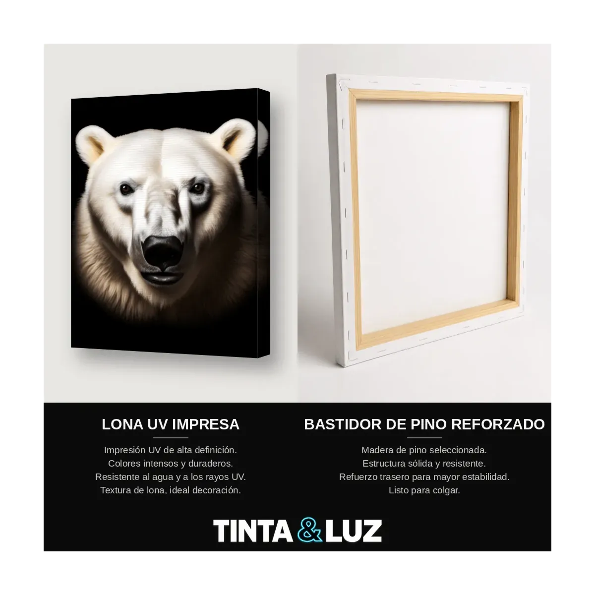 OSO POLAR MAJESTUOSO