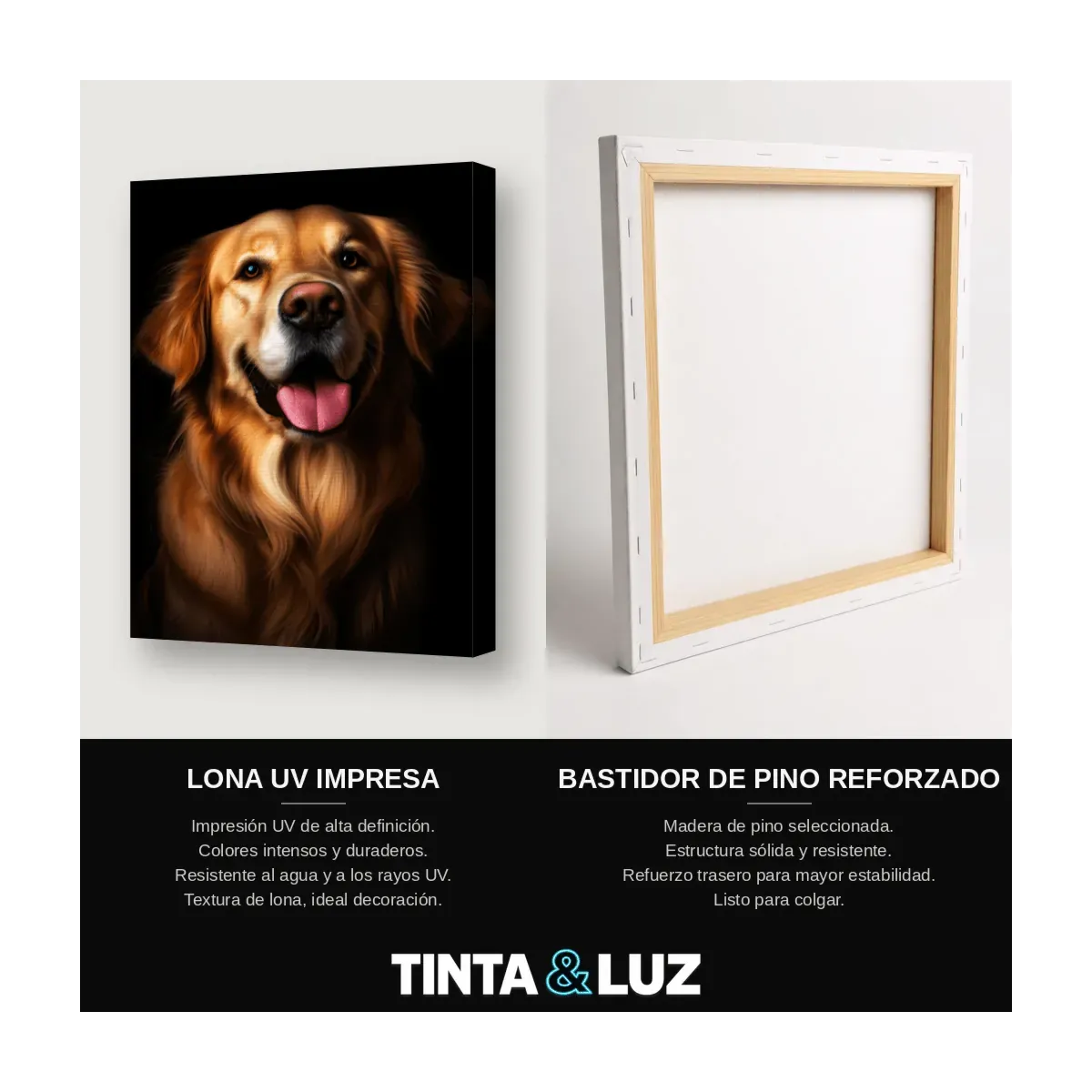 GOLDEN RETRIEVER