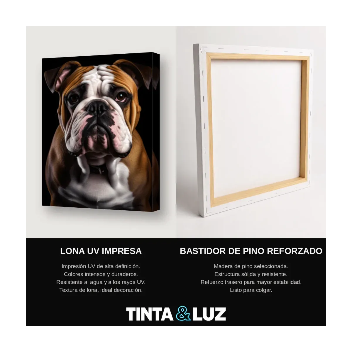 BULLDOG INGLÉS