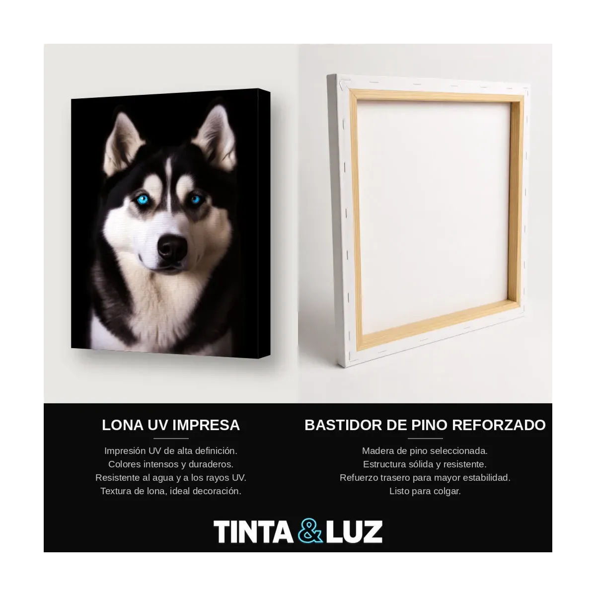 HUSKY SIBERIANO