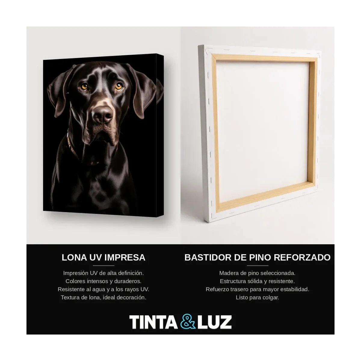LABRADOR NEGRO