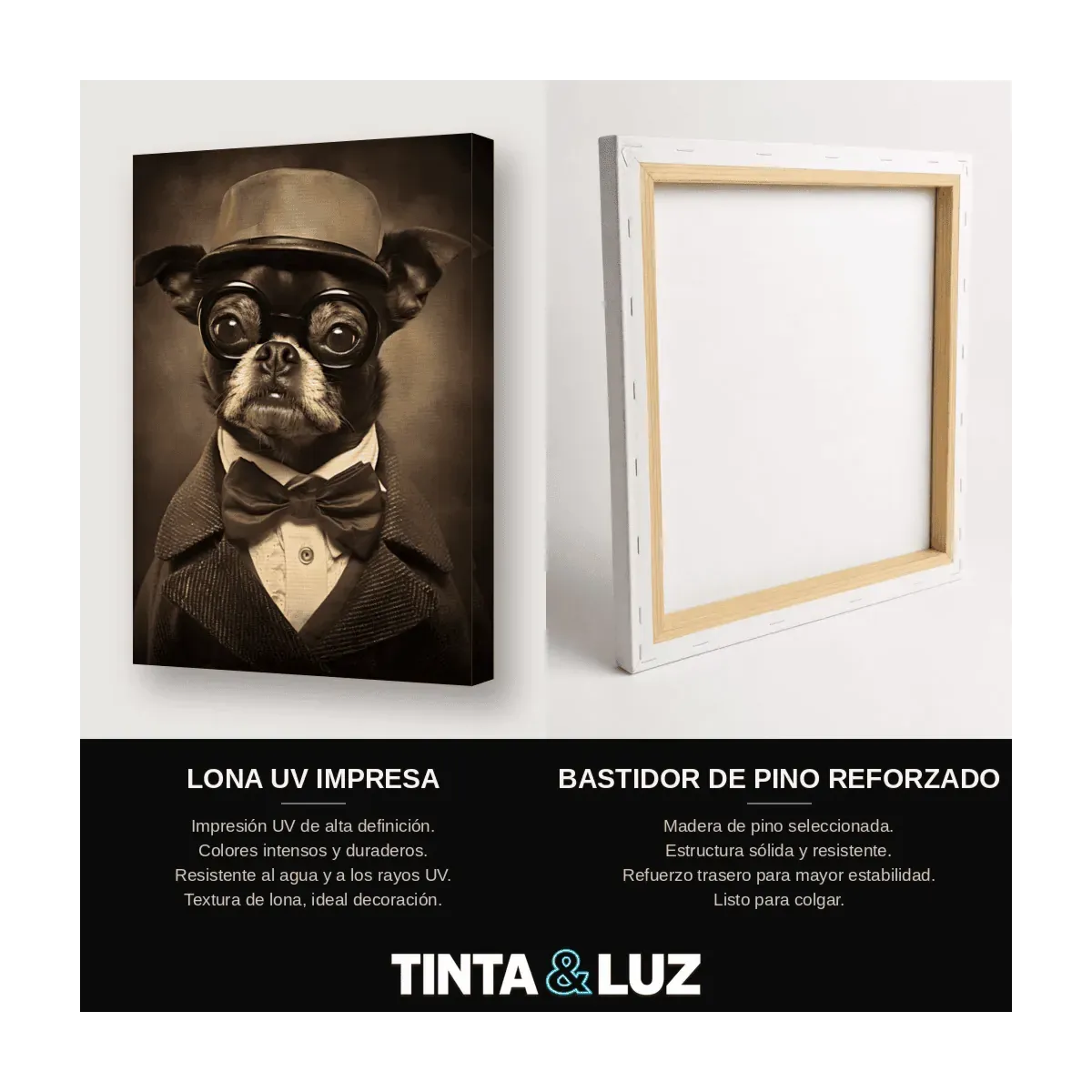 BOSTON TERRIER ELEGANTE