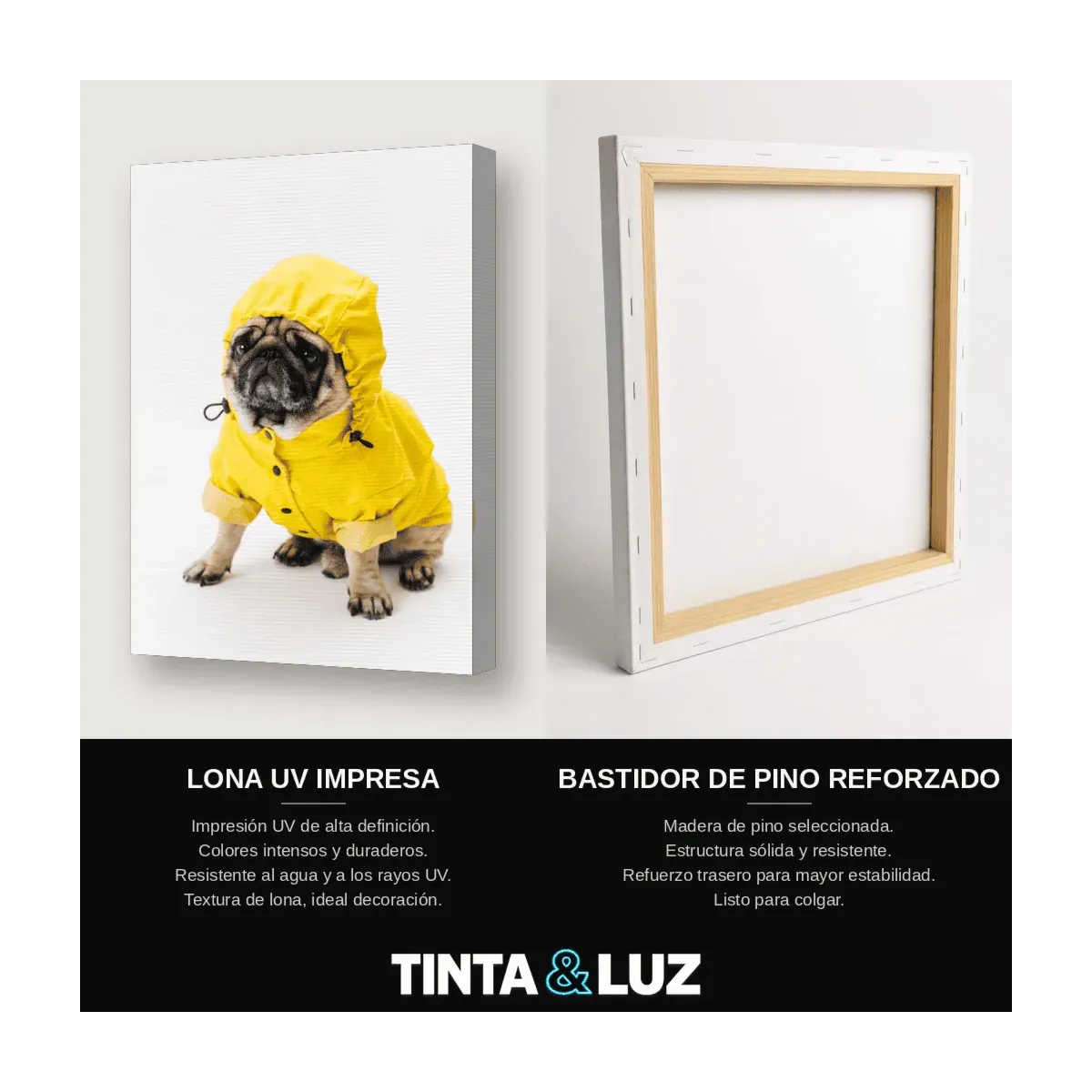 PERRO IMPERMEABLE AMARILLO