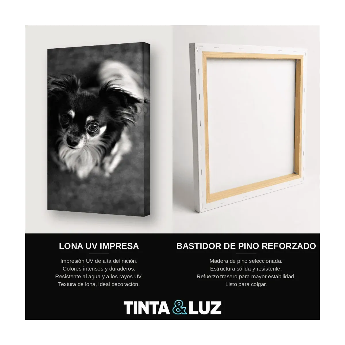GALGO B&N
