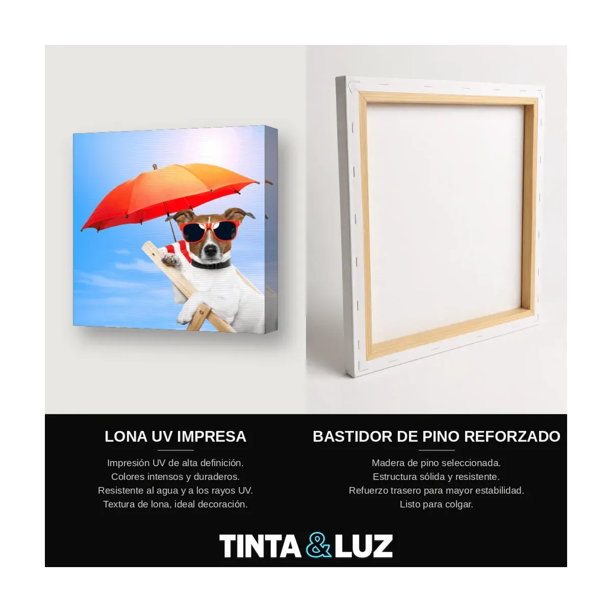 PERRO FELIZ