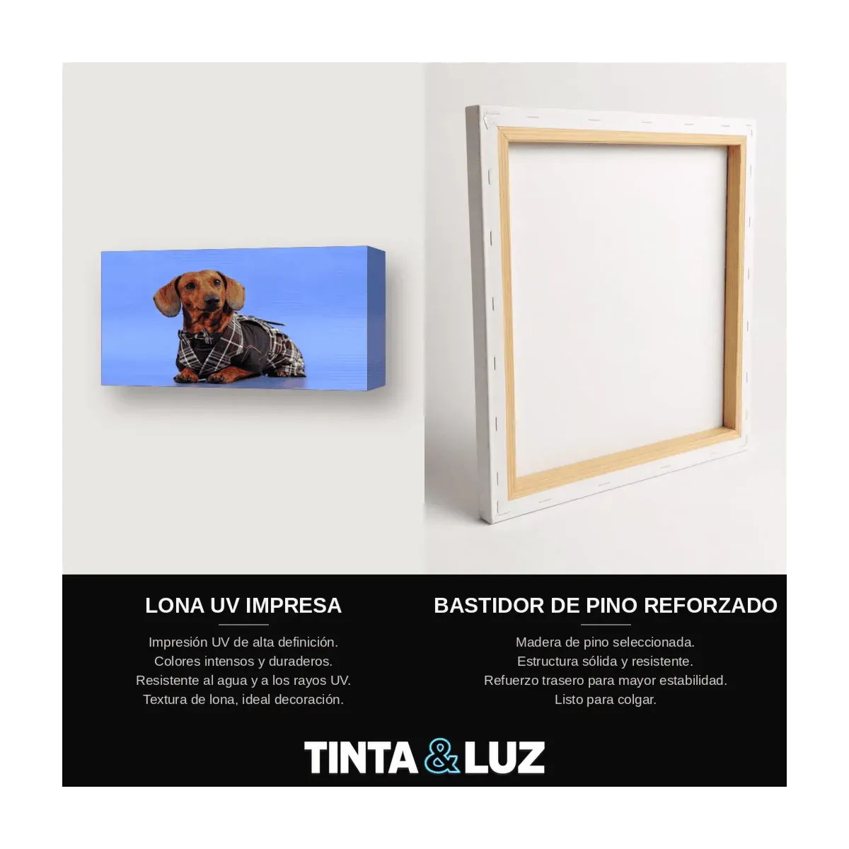 PERRO Y GAFAS