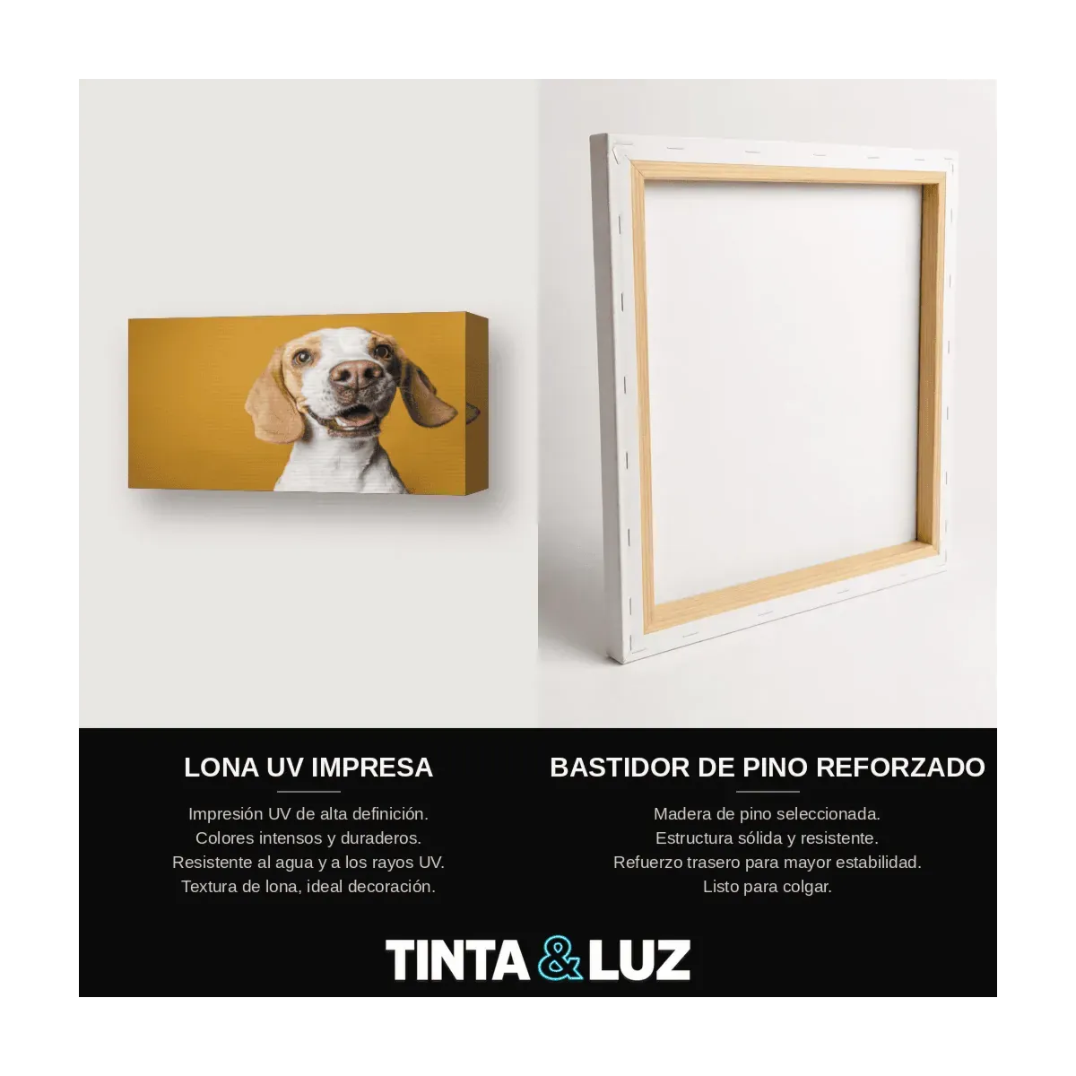 PERRO BLANCO FELIZ